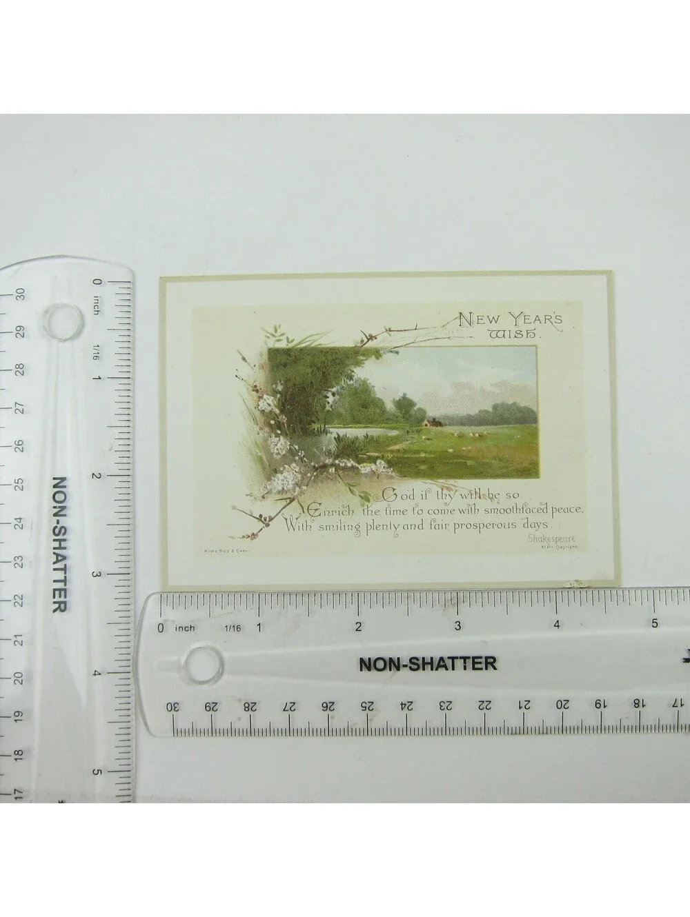 Victorian Greeting Card New Years Wirths Bros & Owen Cabin Field Flowers Antique